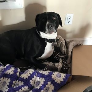 Meet your Posher, Amber